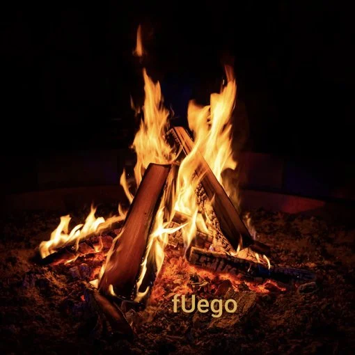 55. JULIA DOBÓN  fuego