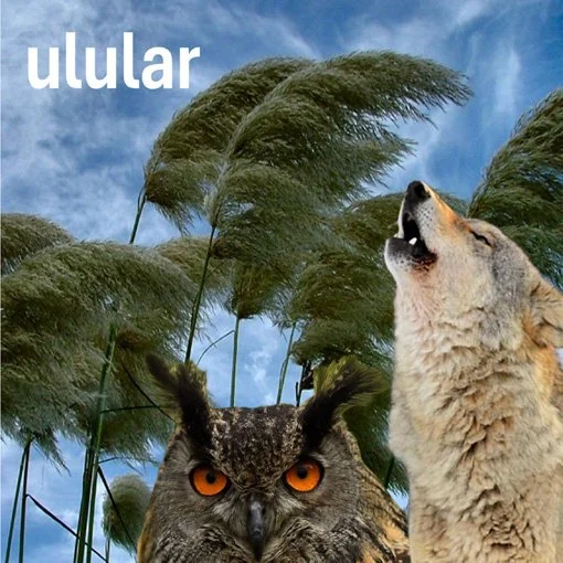 4. JOSE MIGUEL ABAD  ulular