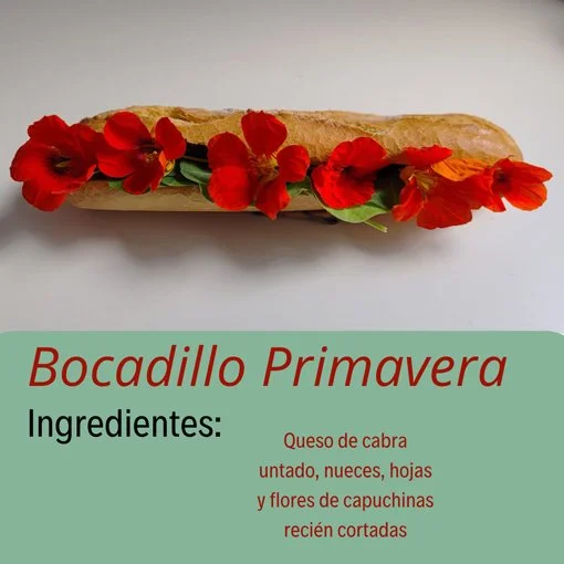 7. PEPA CHICOTE
