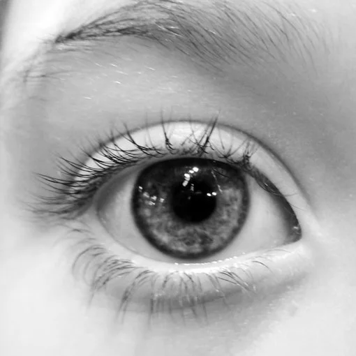 71. MARIOLA FORTUÑO  ull