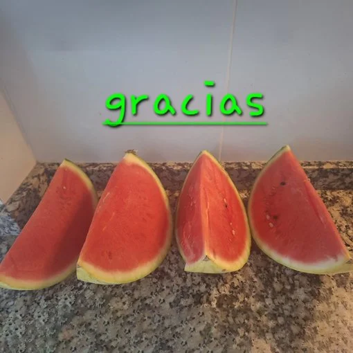 55 MARIAJO GIMENEZ