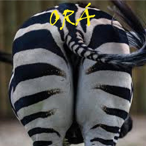 87. MIRIAM CASTRO  oráculo