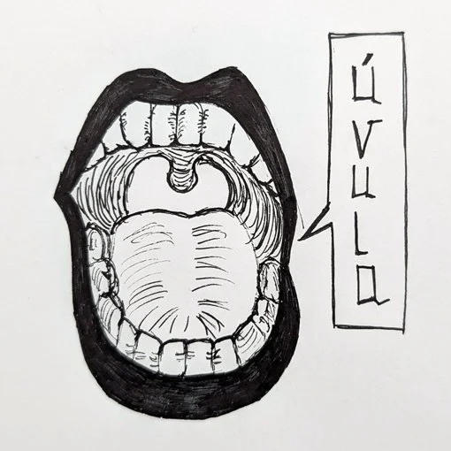 85. GEMA MARTINEZ úvula