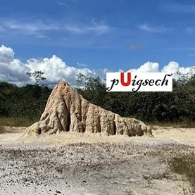 40. MONTSE PUIGSECH  puiu sech