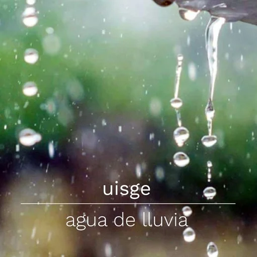 23. MIGUEL TERUEL  uisge (GAÉLICO)