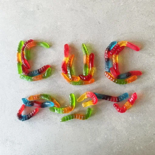 61. PAULA VILLARONGA  cuc