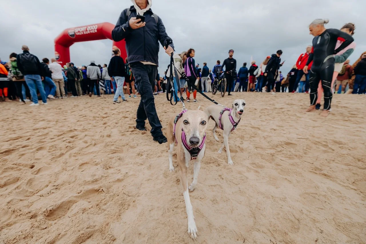 Moment de transition d’un athlète du Triathlon de Royan, où vitesse, précision et énergie se mêlent dans un geste fluide.