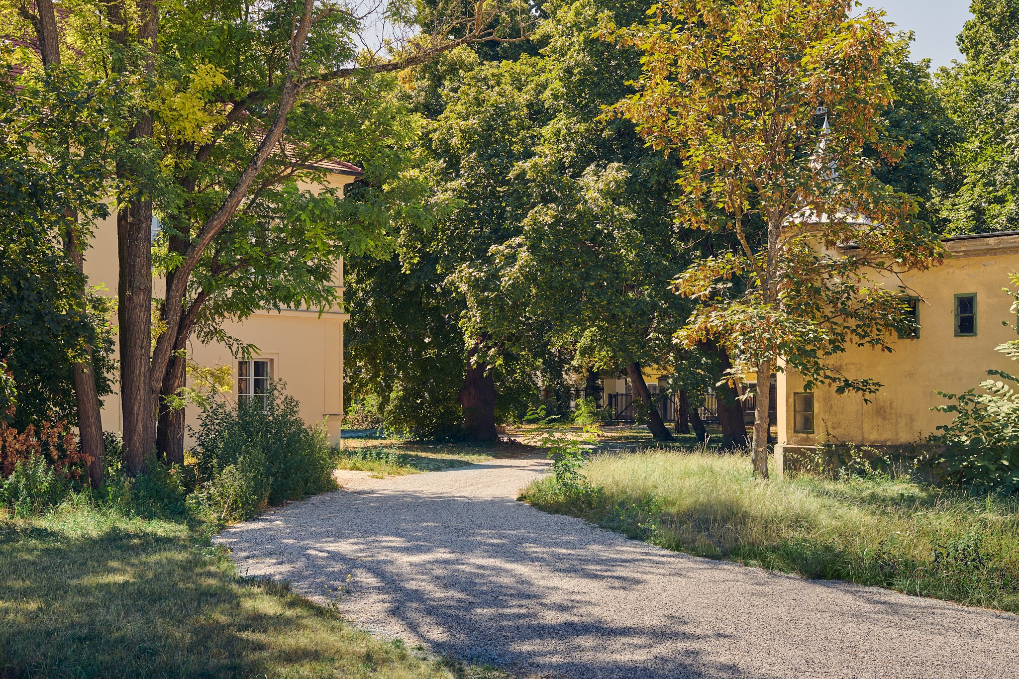 LUDWIG_REITER_JMS_Schloss_19.07.22-004.jpg