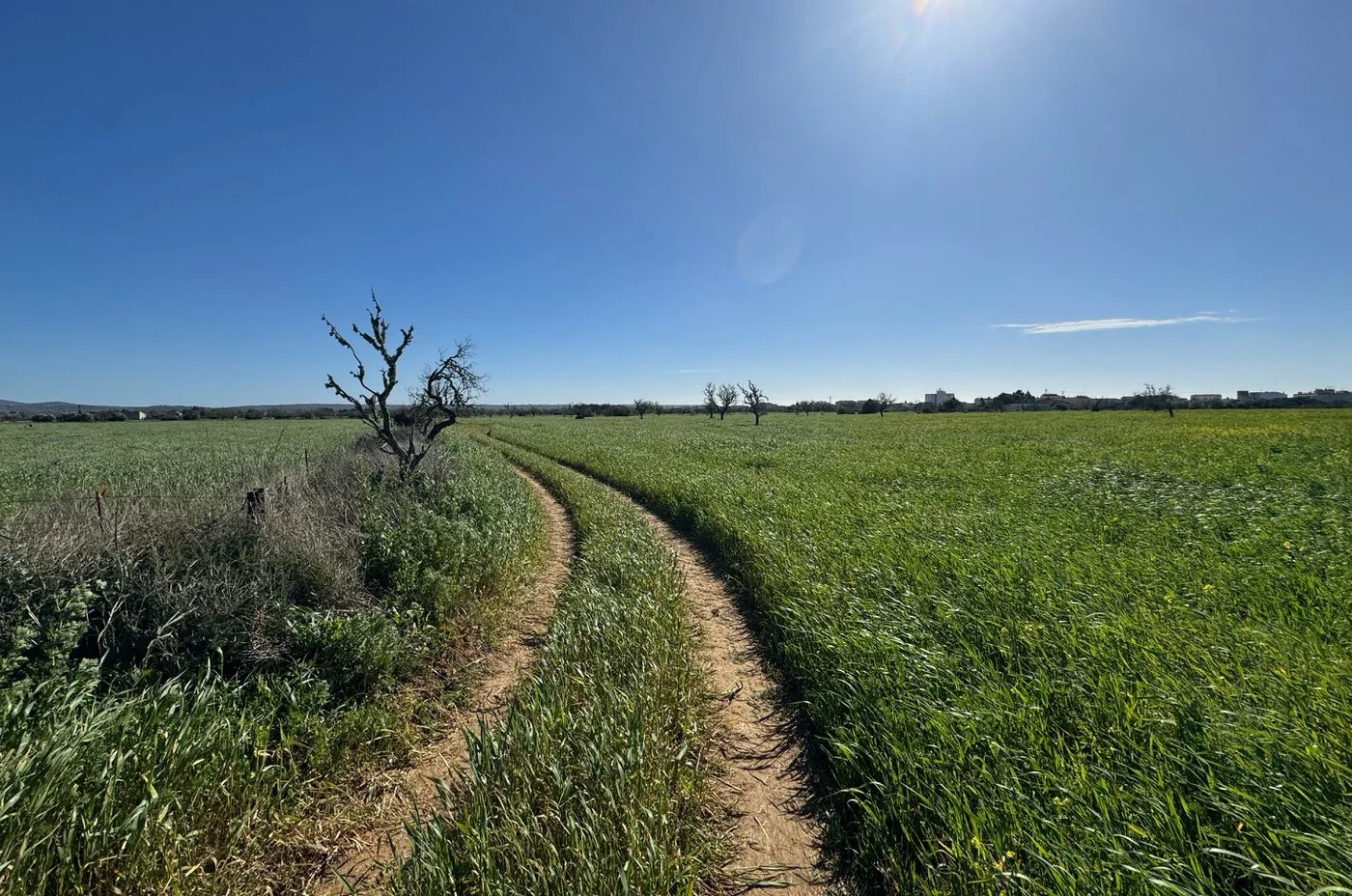 Plot near Campos with an approved license for a detached single-family home with swimming pool