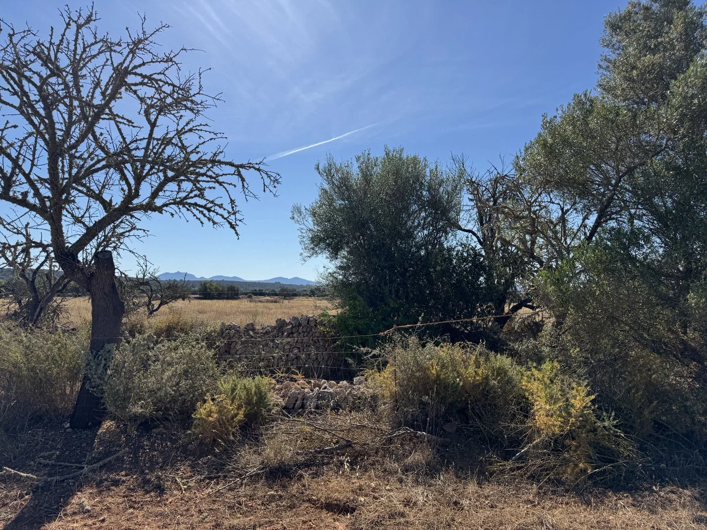 Spacious Plot with Open Views and easy access in Campos
