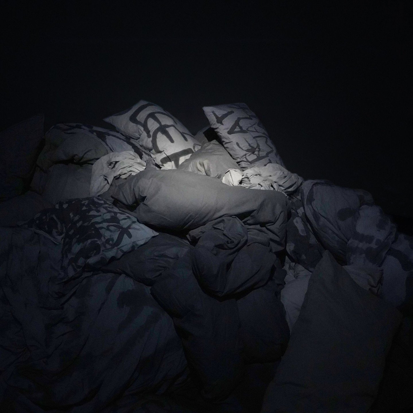 Nocturne
Kate McDonnell, 2024 
[bedding, linens, ink]

#bedlinen #fibreart #fabricart #insomnia #fabric #ink #wallhanging #art #artist #contemporaryart #installationart #artinstallation #scultpture #contemporarysculpture