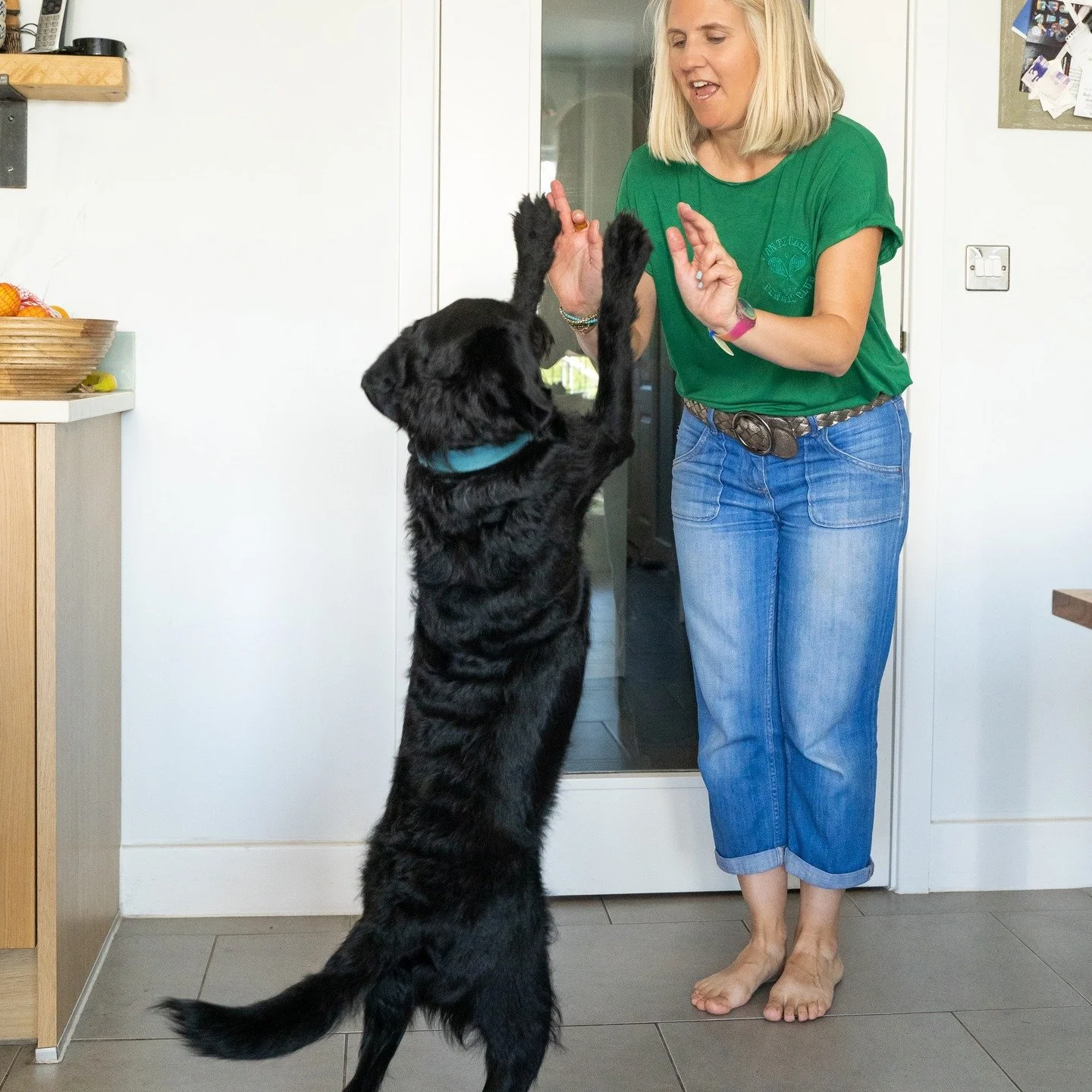 So apparently it is Dog Person Day! Thanks for the reminder @berenice_hellolovelydesign 

Little me definitely wasn't a dog person - I was terrified of them to be honest. One of my earliest memories was being chase by an old english sheepdog and I re