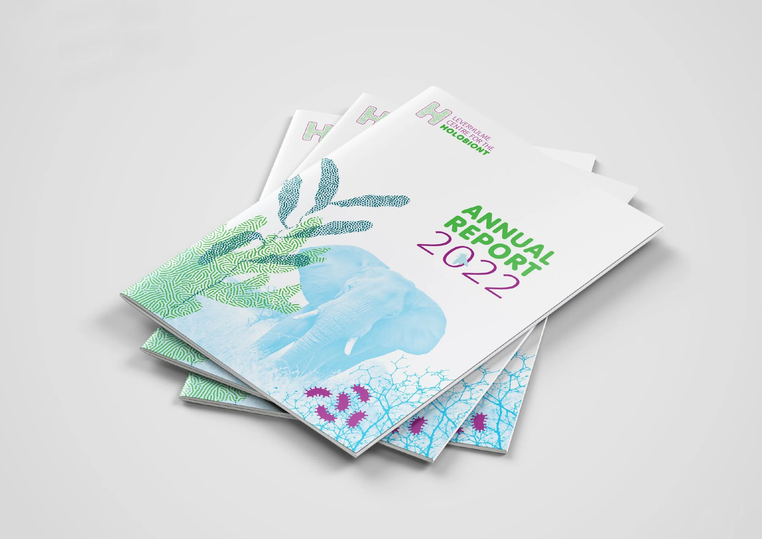 Report design for the Centre for the Holobiont by West9 Design Ltd
