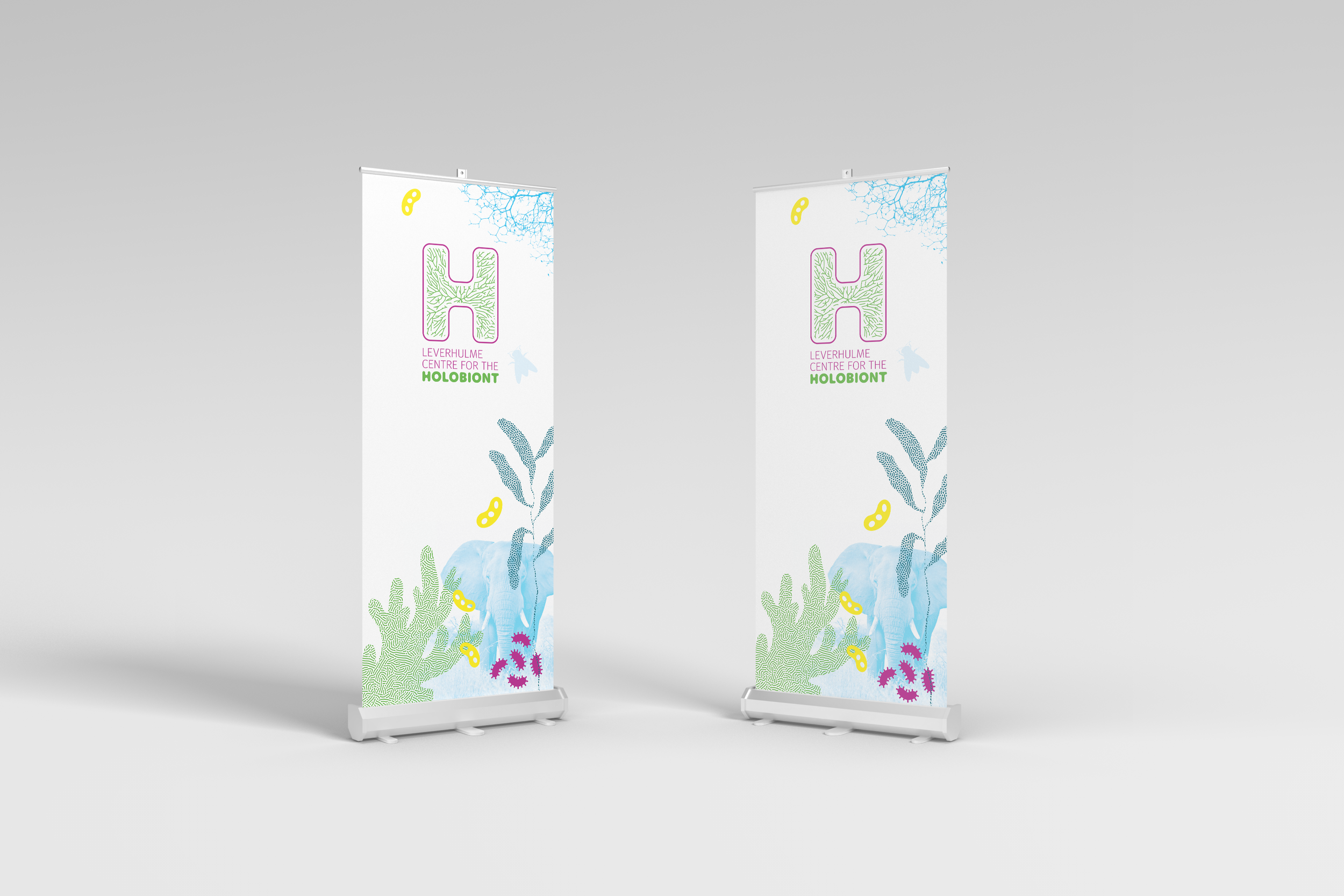 Banner design for the Centre for the Holobiont by West9 Design Ltd