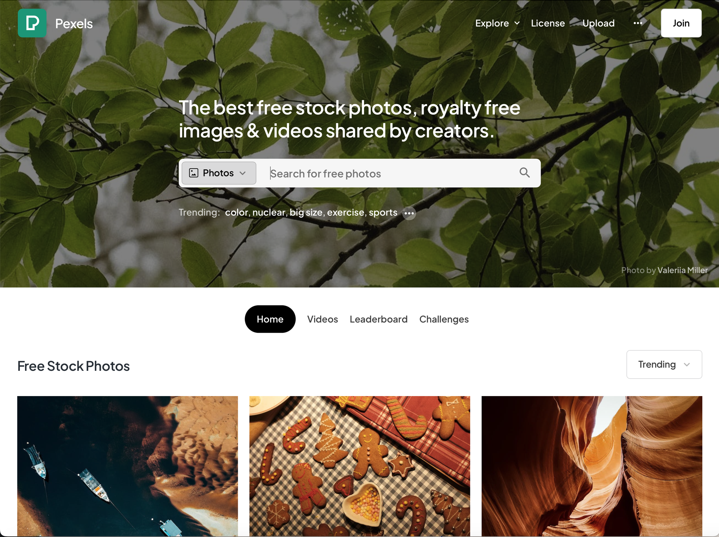 screen grab of pixels website