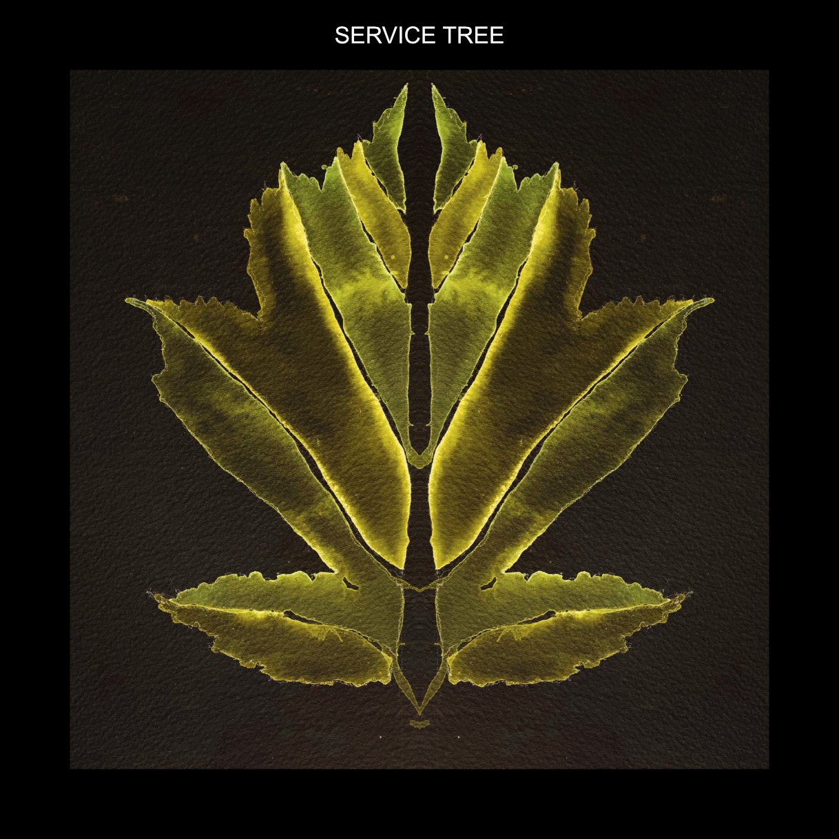 WFSERVICE TREE.jpg