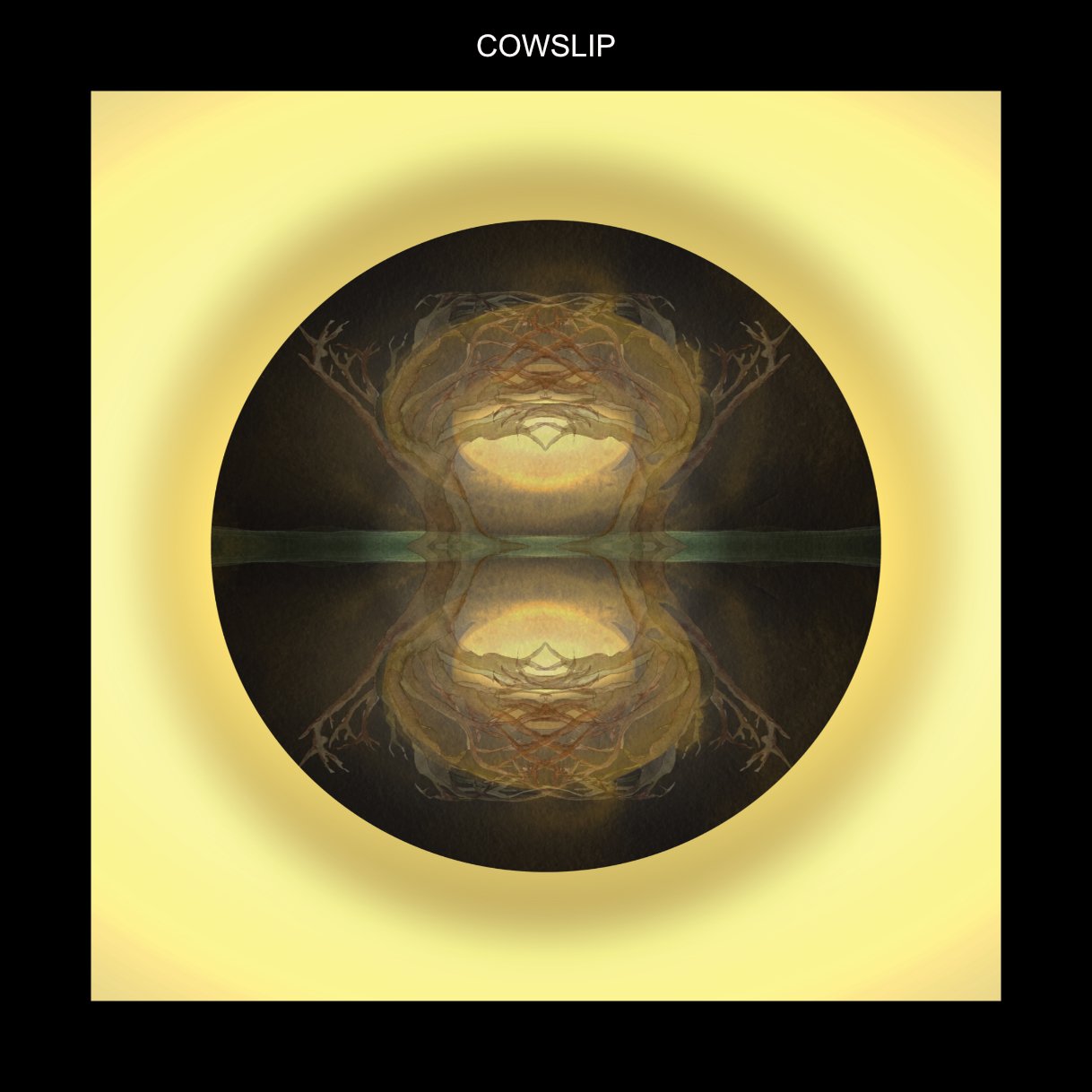 WFCOWSLIP.jpg