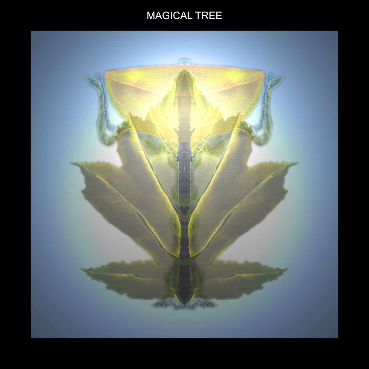 WFMAGICAL TREE.jpg