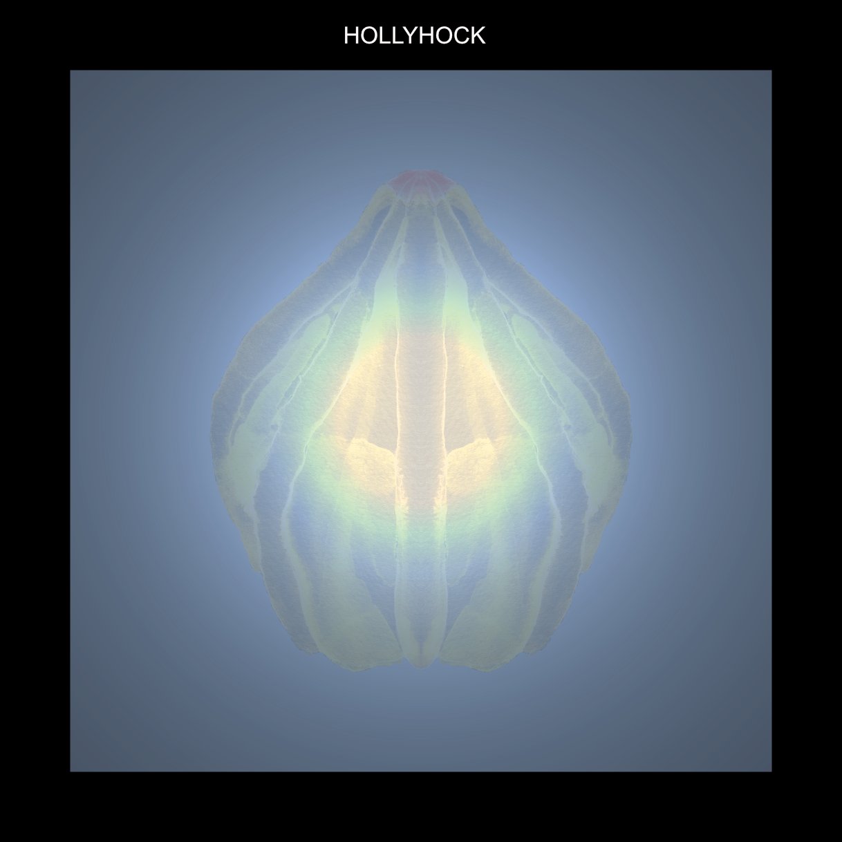 WFHOLLYHOCK.jpg