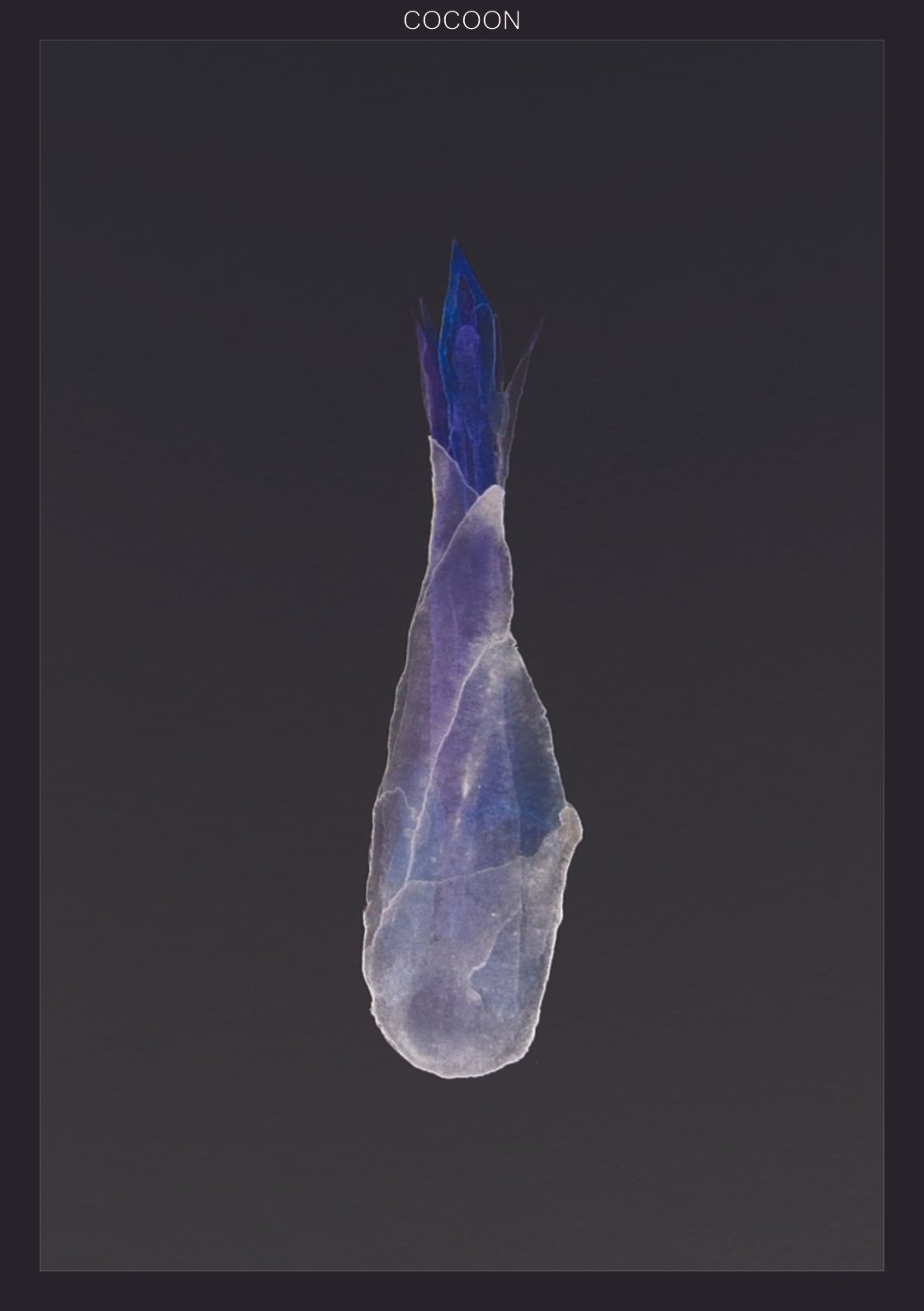 WFCOCOON.jpg