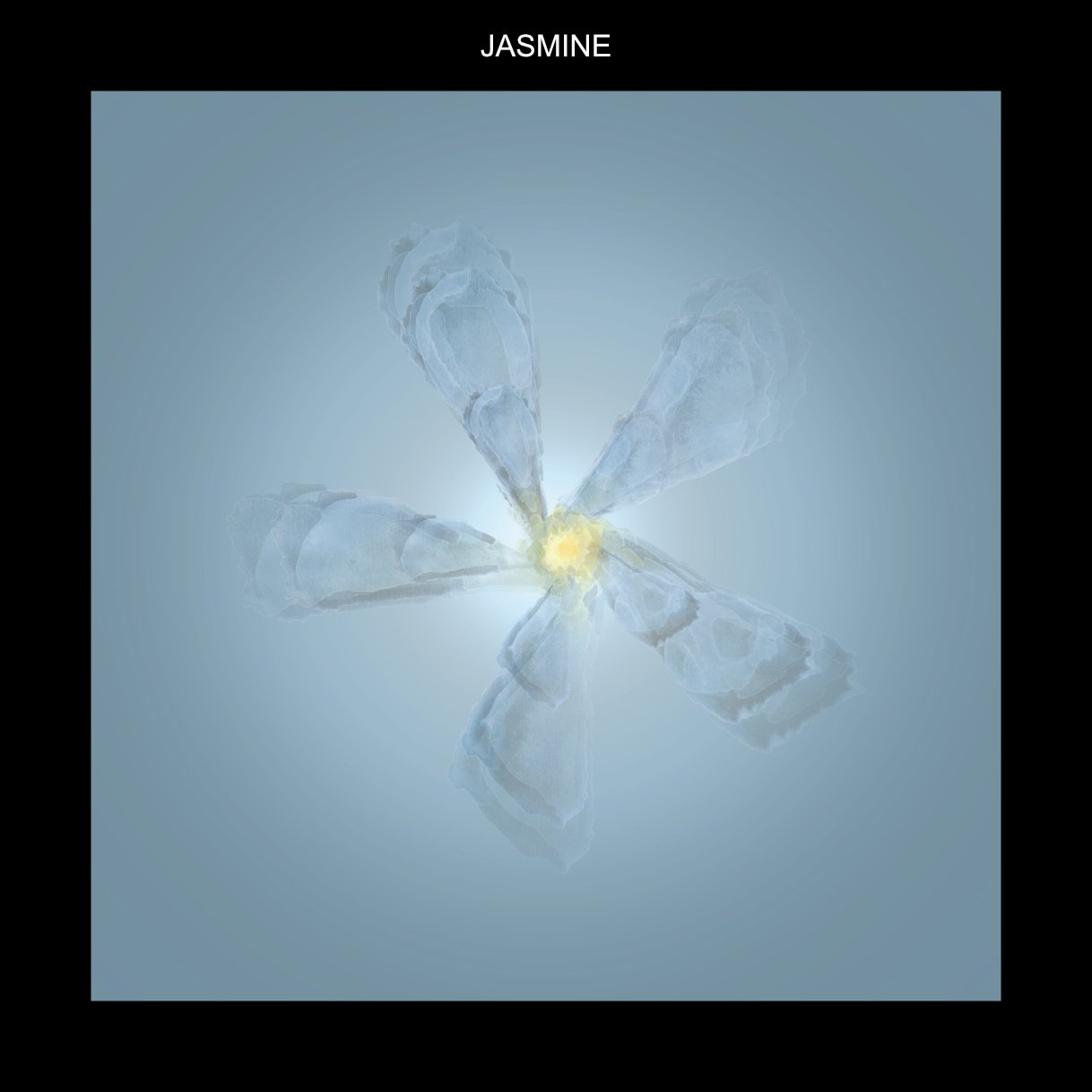 FWJASMINE.jpg