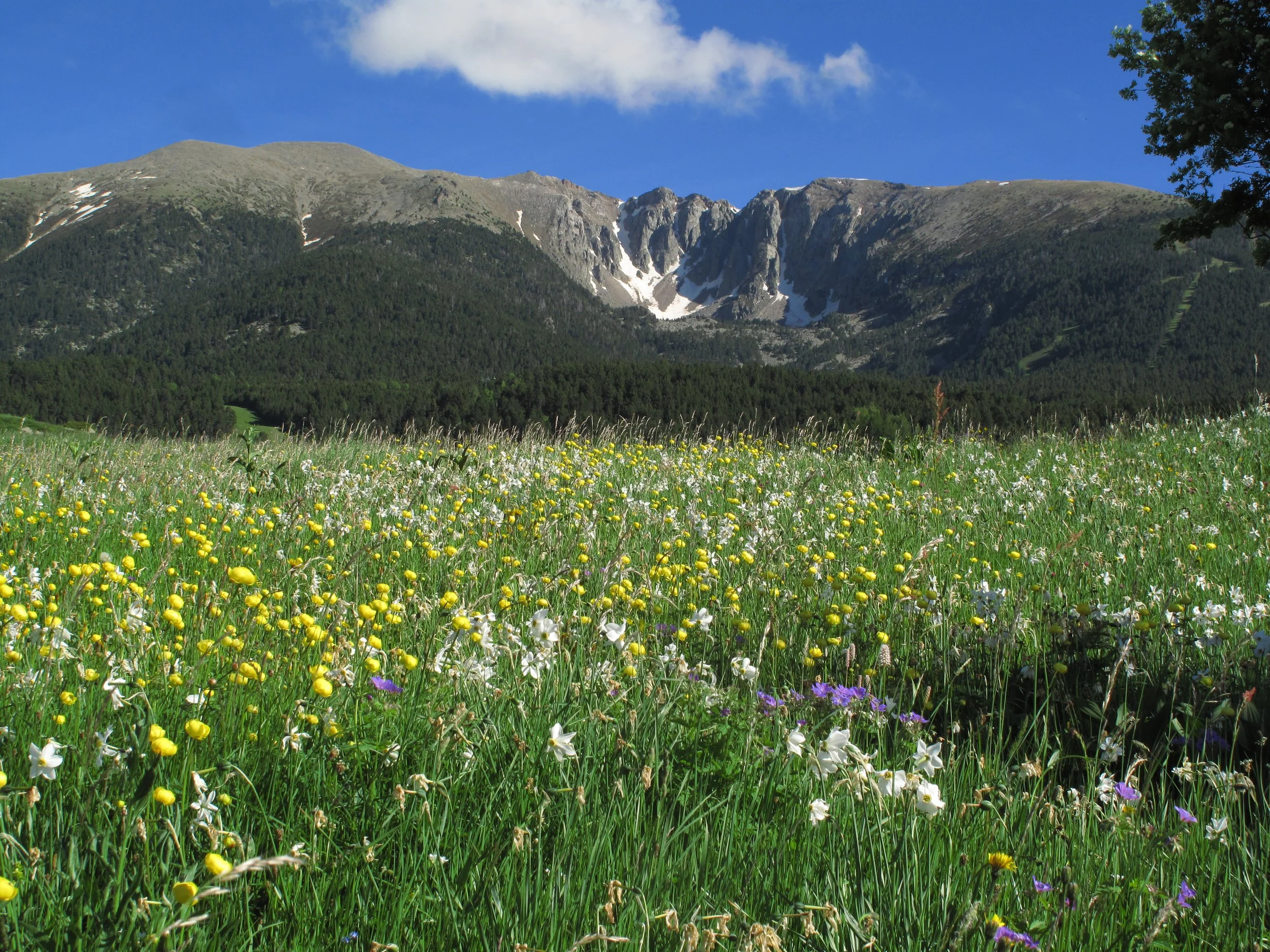 Nostalgia in the Cerdagne