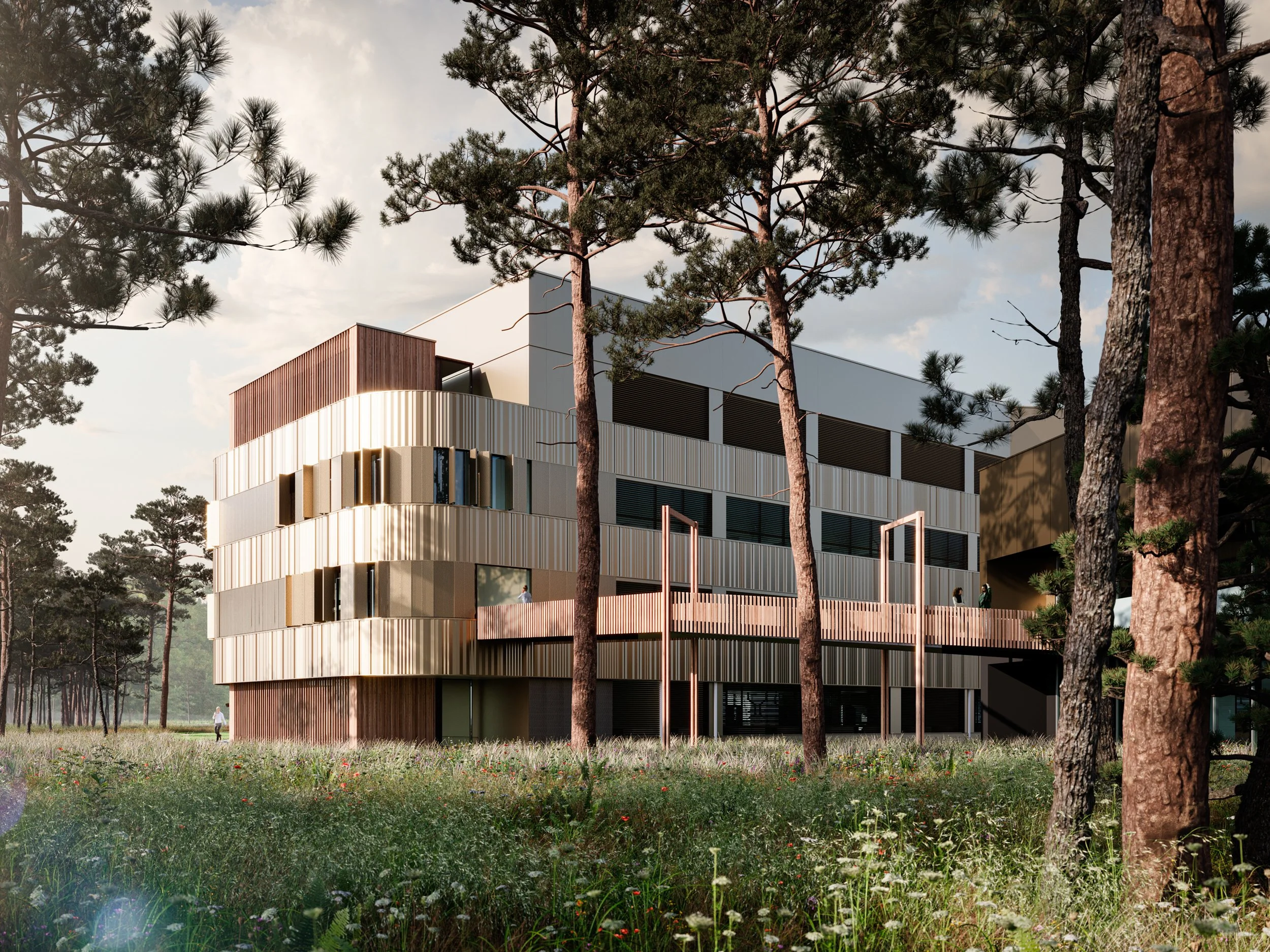 ARJVO-vito earth-web-2500px-240-1.jpg