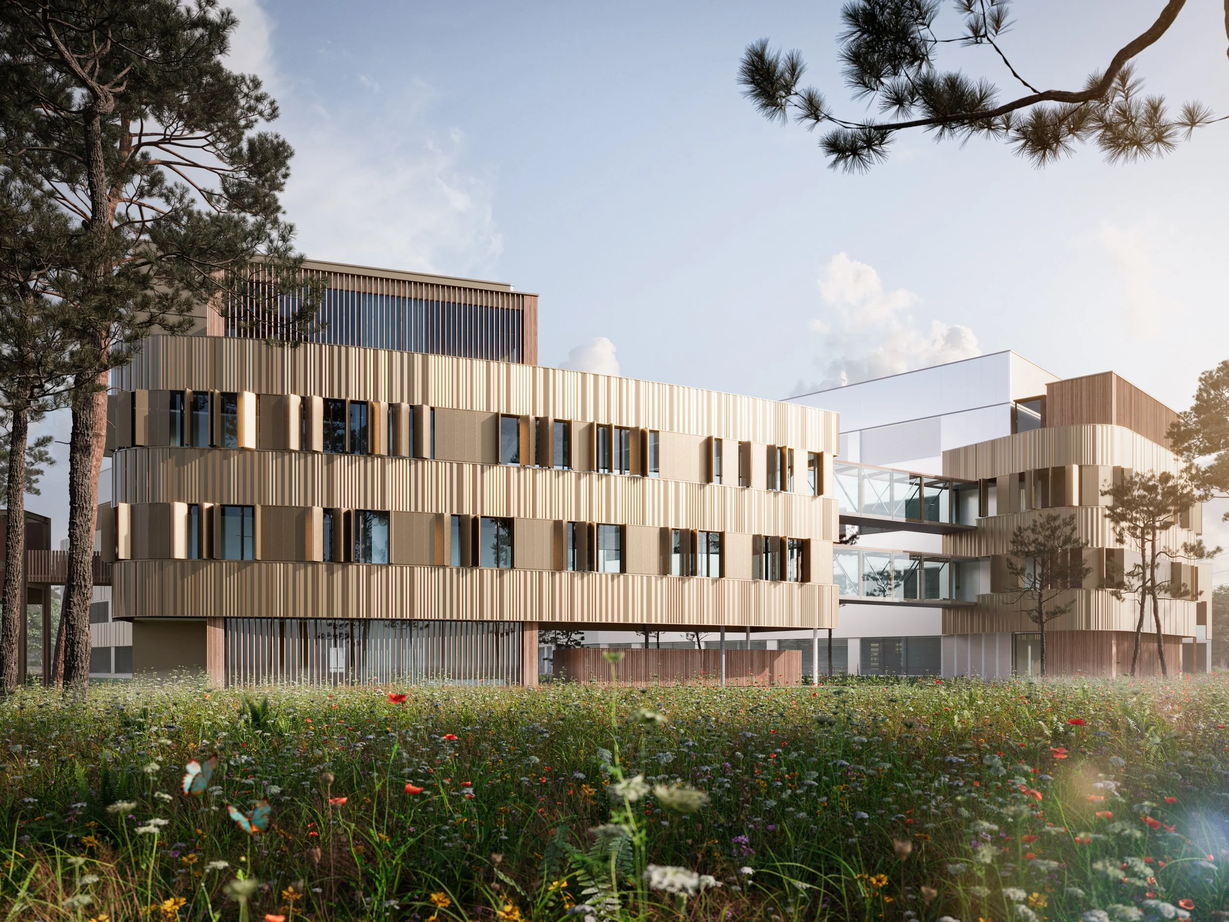 ARJVO-vito earth-web-2500px-240-4.jpg