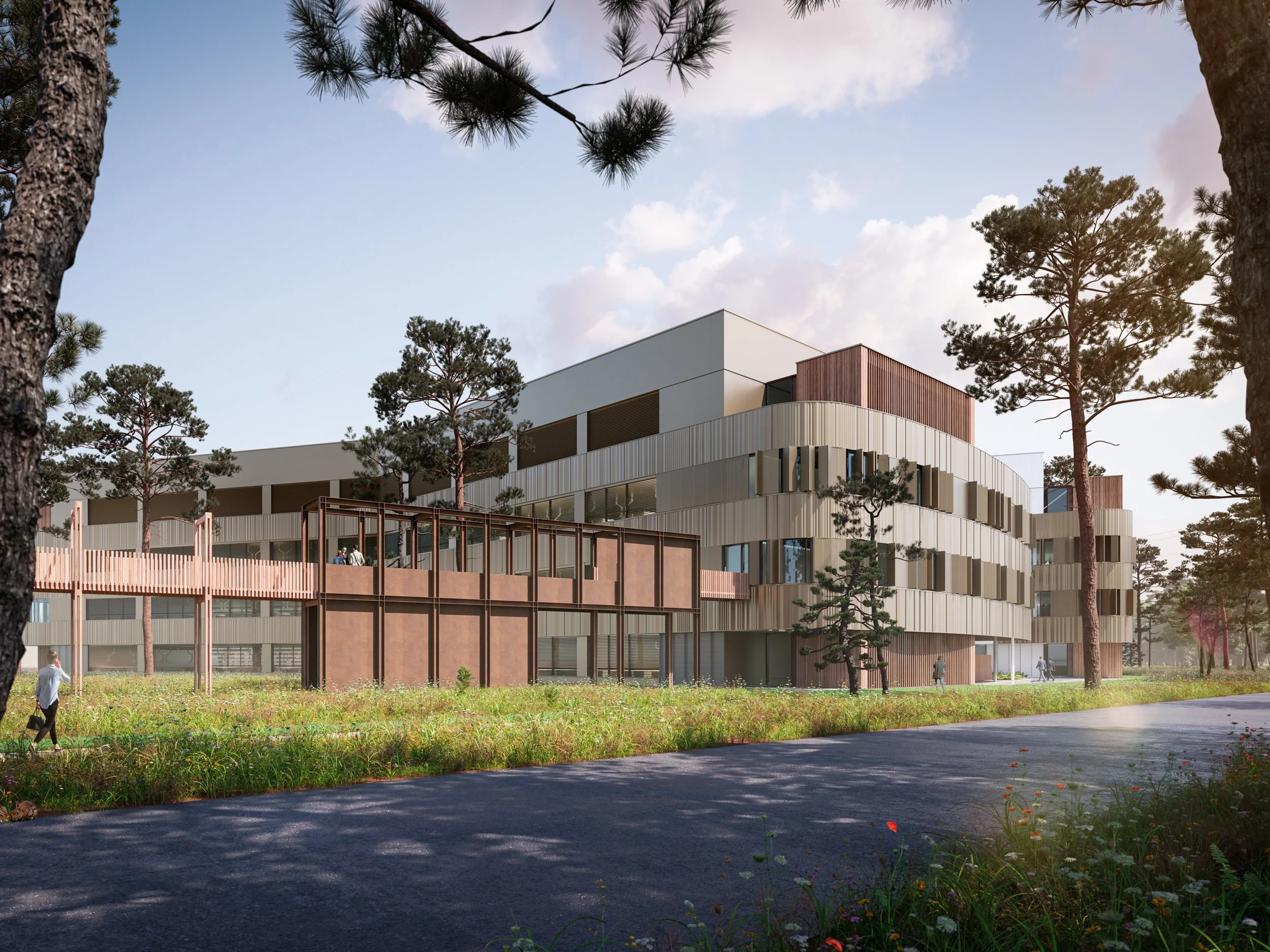 ARJVO-vito earth-web-2500px-240-5.jpg