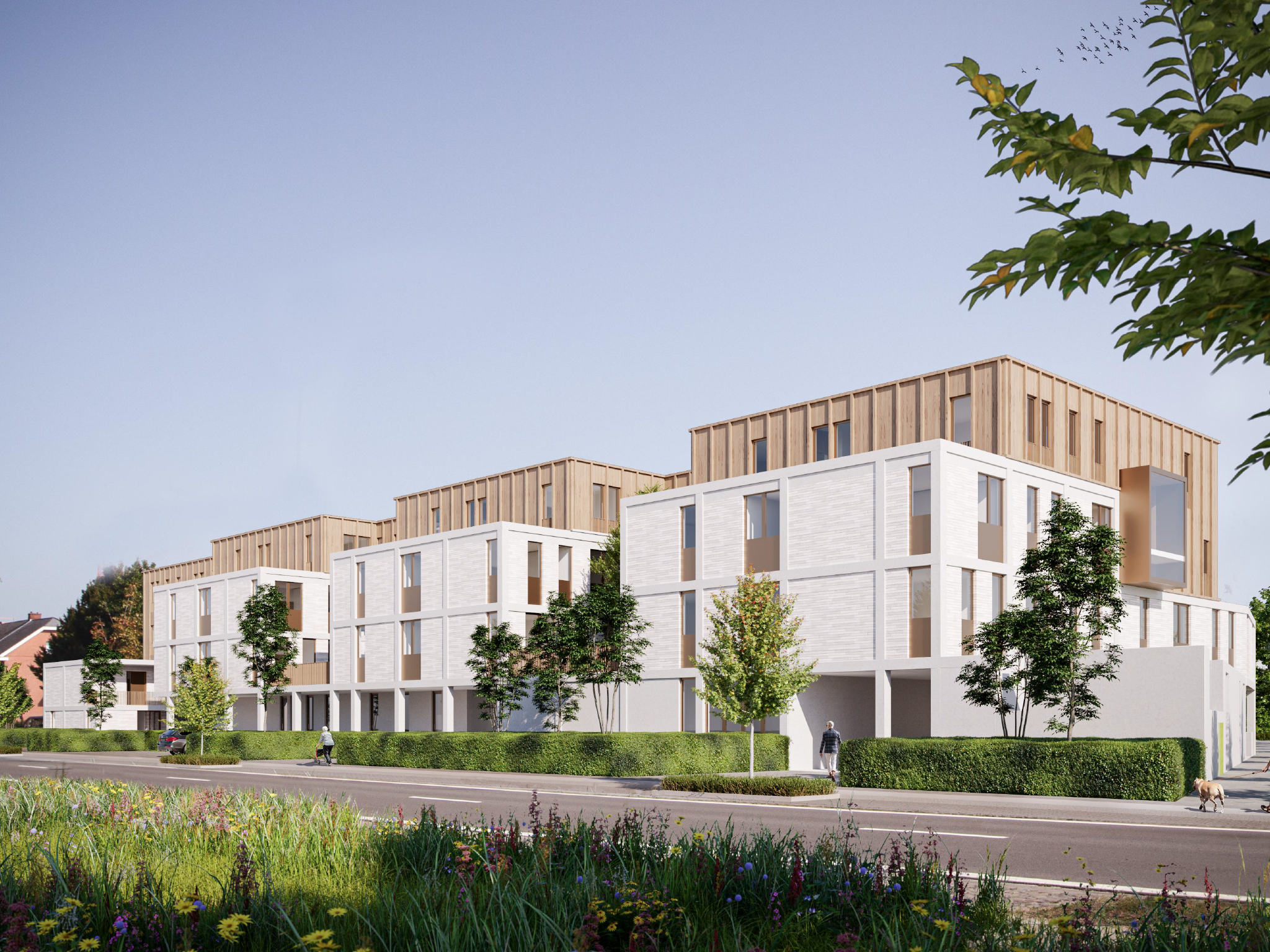 ARJVO-animacare-plannen-render 7-2048 x 1536 V.png