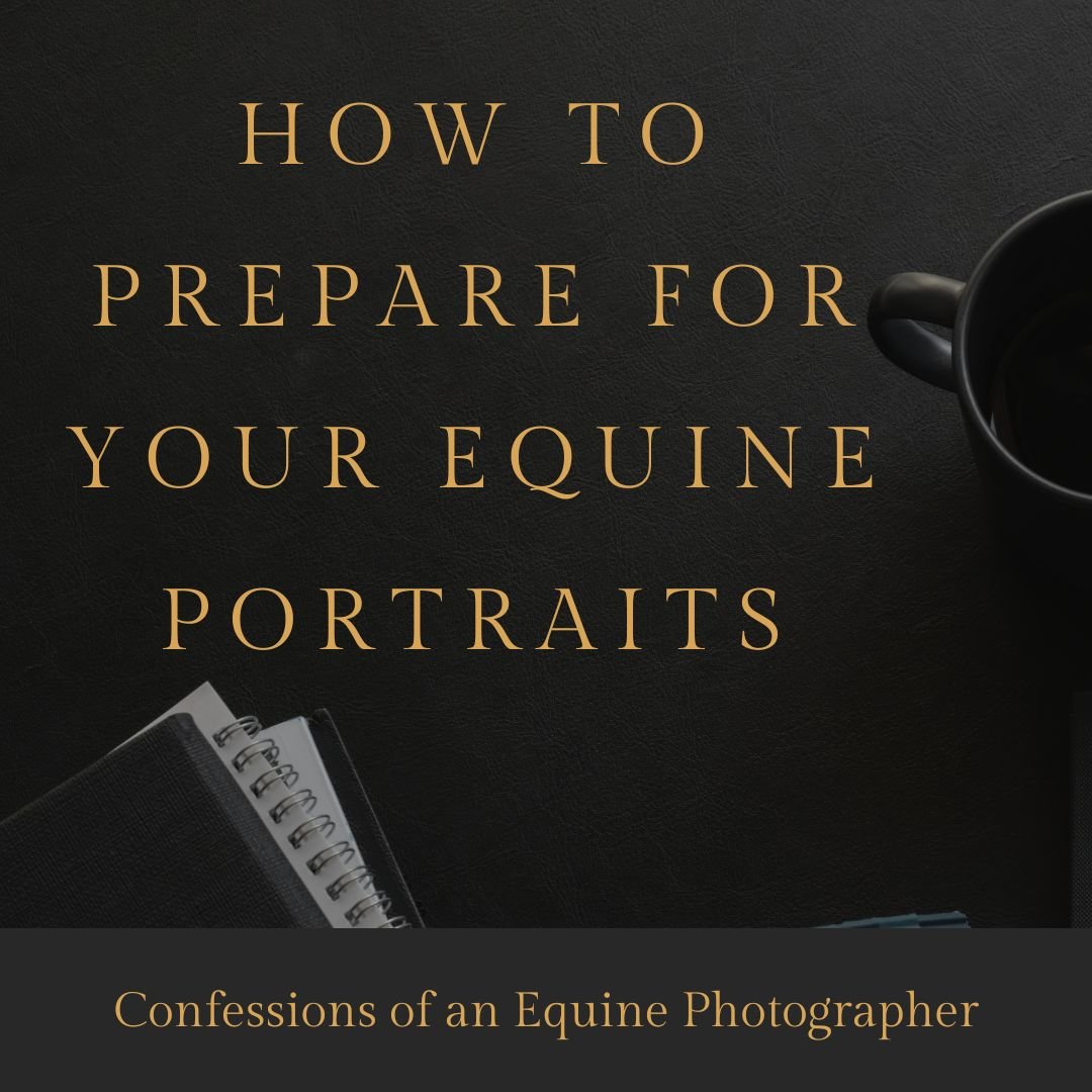 HOW TO PREPARE FOR YOUR EQUINE PORTRAIT SESSION
