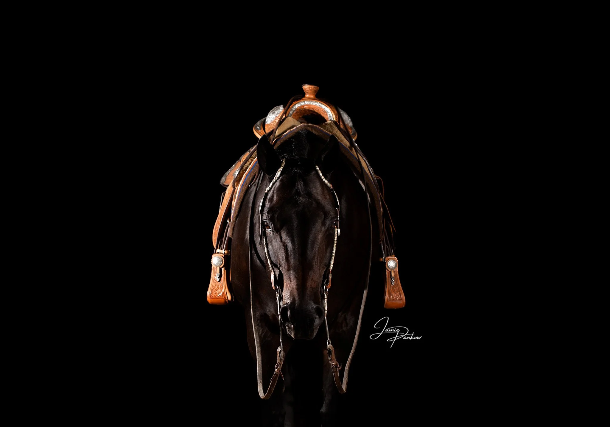 📸 Timeless Tuesday

Every Tuesday, I&rsquo;ll be bringing back some of my favorite portraits from the past&mdash;because great moments deserve to be seen again! Each week, I&rsquo;ll feature a different session, some dating back as far as seven year