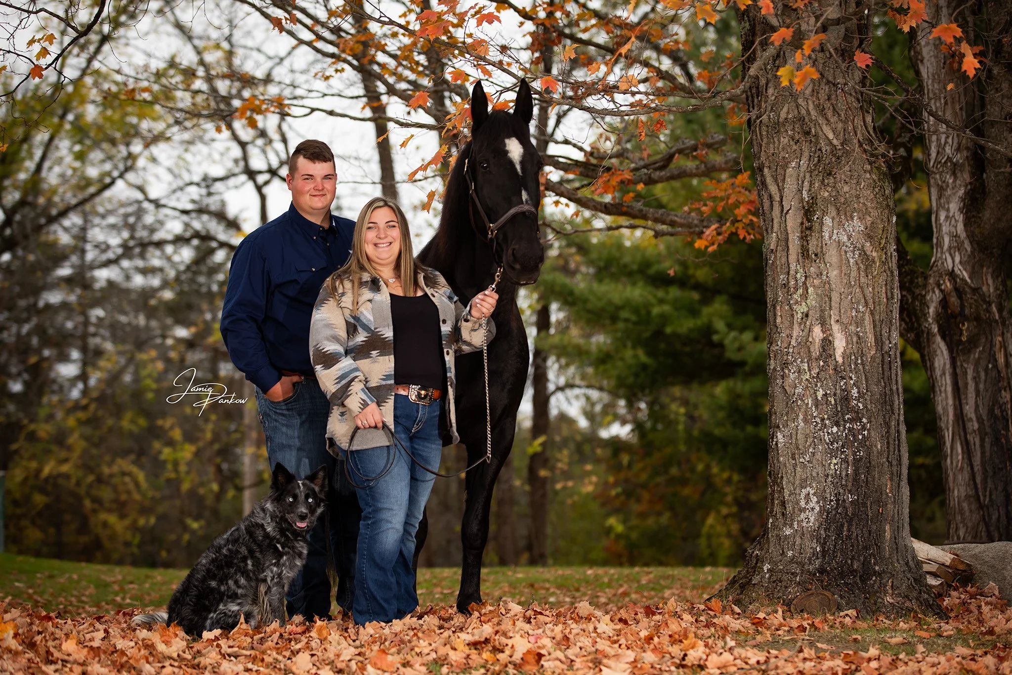 Erin &amp; Joey with Blue and Chief

When you include your animals in your portraits, having a photographer who understands their body language and how to capture that natural connection makes all the difference.

Chief and Blue were absolute natural