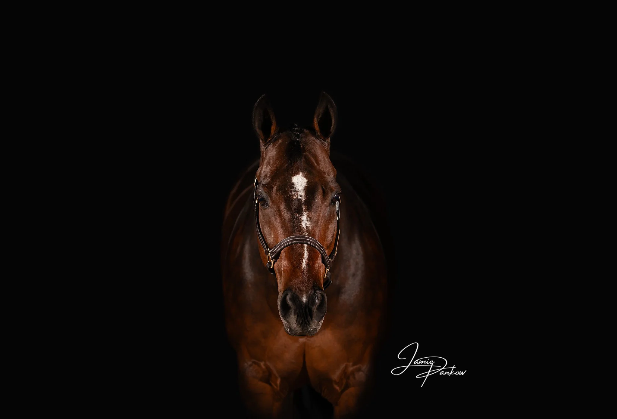 📸 Timeless Tuesday

Every Tuesday, I&rsquo;ll be bringing back some of my favorite portraits from the past&mdash;because great moments deserve to be seen again! Each week, I&rsquo;ll feature a different session, some dating back as far as seven year