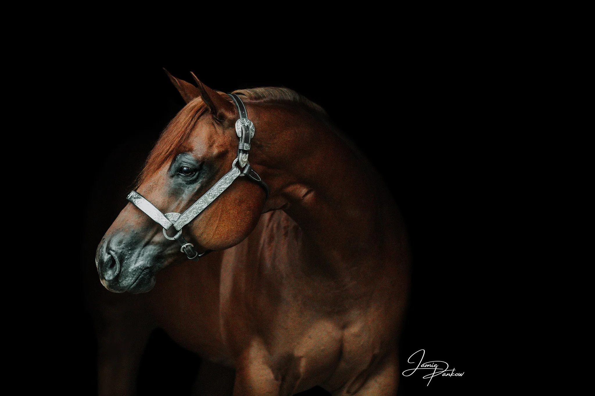 📸 Timeless Tuesday

Every Tuesday, I&rsquo;ll be bringing back some of my favorite portraits from the past&mdash;because great moments deserve to be seen again! Each week, I&rsquo;ll feature a different session, some dating back as far as seven year