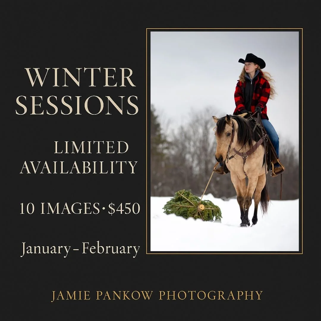 Winter Sessions are almost sold out, and there are so many ways to make them your own.

Your horses out in the snow &mdash; with you or on their own.
Your dogs running and playing outside.
A family enjoying a snow day.
A quiet moment as a couple.
Or 