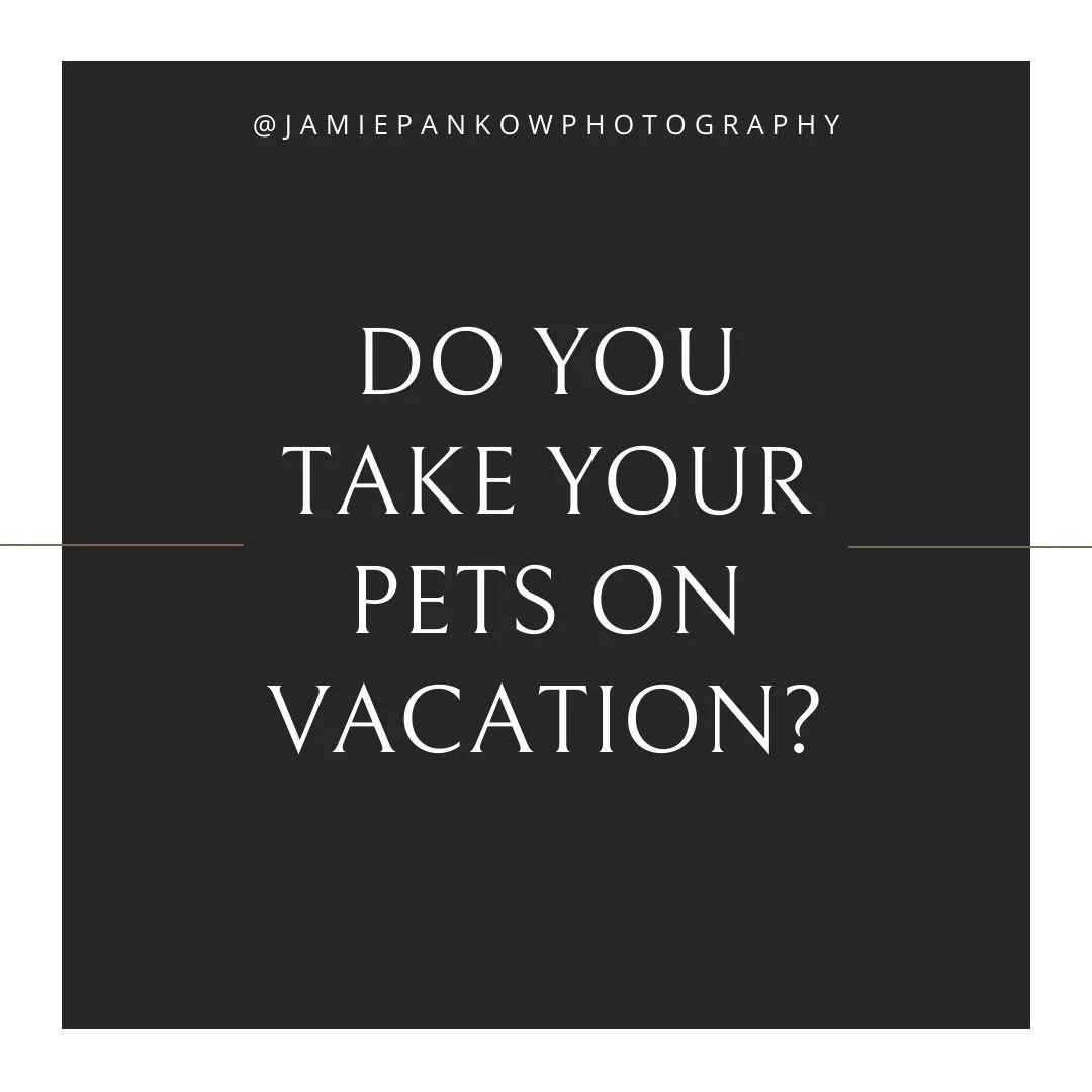 Are you always looking for a pet friendly vacation or do your pets get to spend some quality time with your trusted pet sitter or boarder?