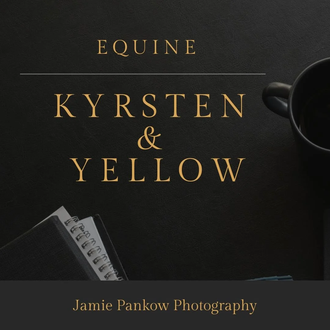 Meeting Kyrsten &amp; Yellow | A Palomino Ranch Horse with Personality
