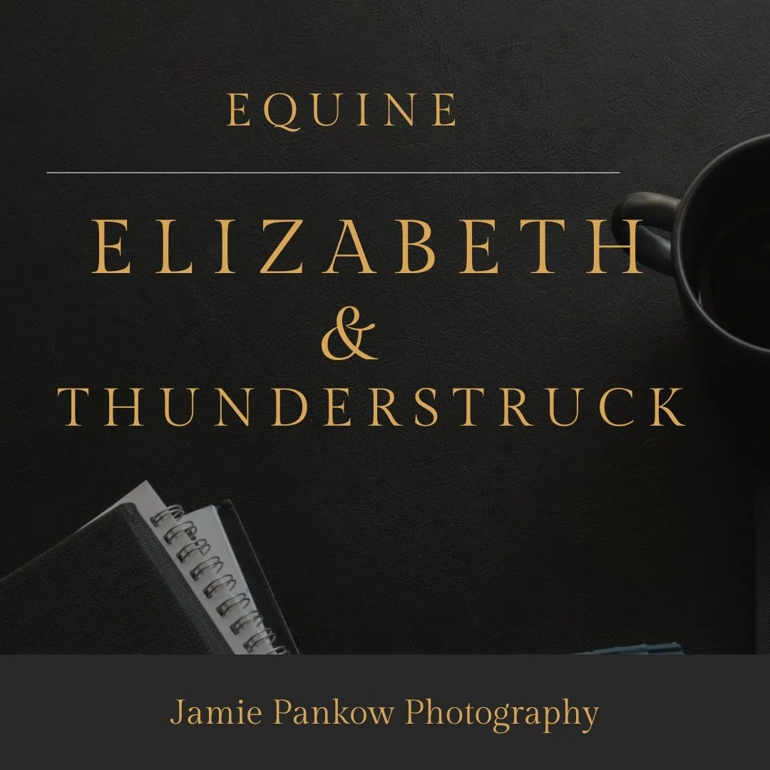 Elizabeth &amp; Thunderstruck | Chincoteague Pony Equine Portraits in Fillmore, NY