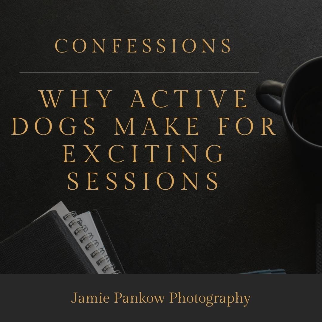 Why Active Dogs Make For Exciting Sessions