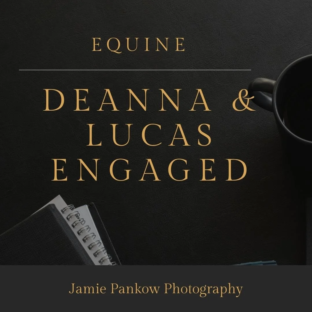 Deanna &amp; Lucas | The Nunda Ranch Proposal