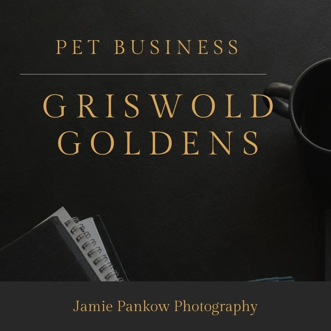 Griswold Goldens | Branding