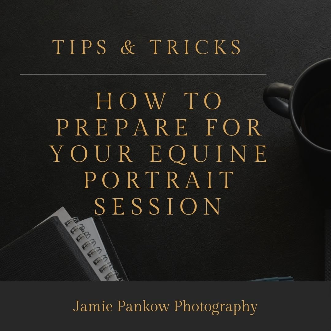 How To Prepare For Your Equine Portrait Session