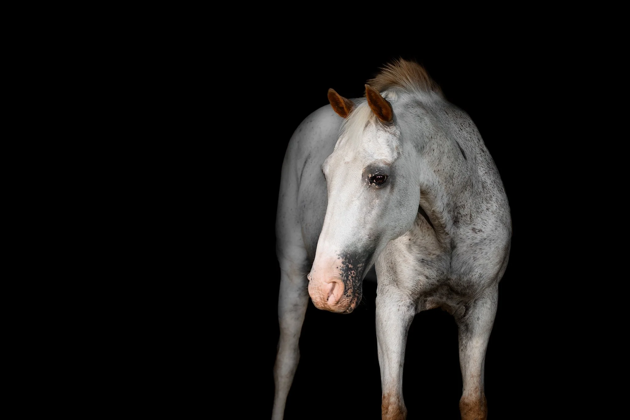 Moffit (7 of 101).jpg