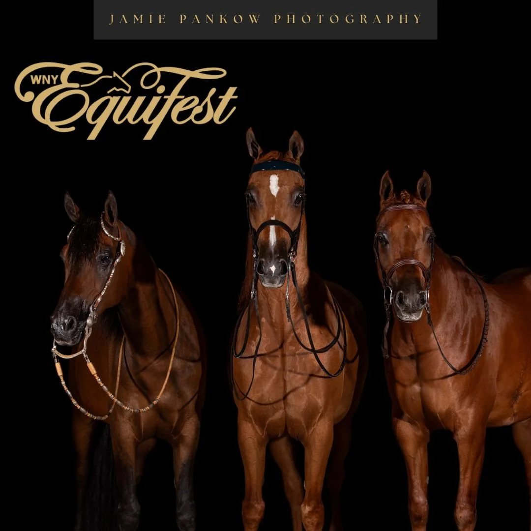 WNY Equifest is back and it&rsquo;s happening THIS weekend!

Join us Saturday &amp; Sunday from 9am&ndash;4pm at the Hamburg Fairgrounds for one of Western New York&rsquo;s favorite equine events of the year.

🎟 Free Admission
🚗 Free Parking
🐴 Loa
