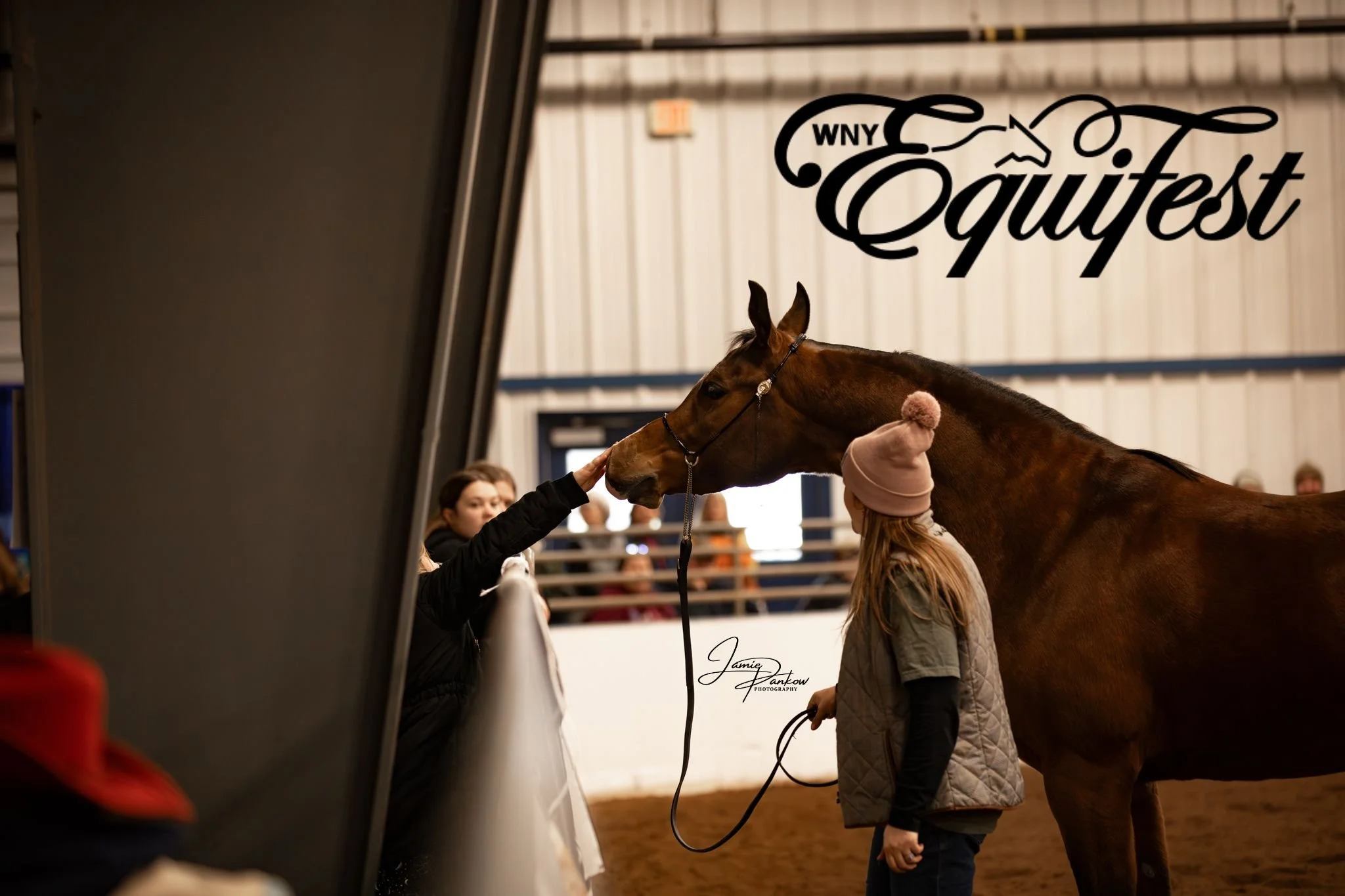 Day one of WNY Equifest is officially a wrap and what a fun day it was! I had the best time chatting with so many of you, hearing about your horses and all the stories that come along with them. A few pieces from my client closet even found new homes