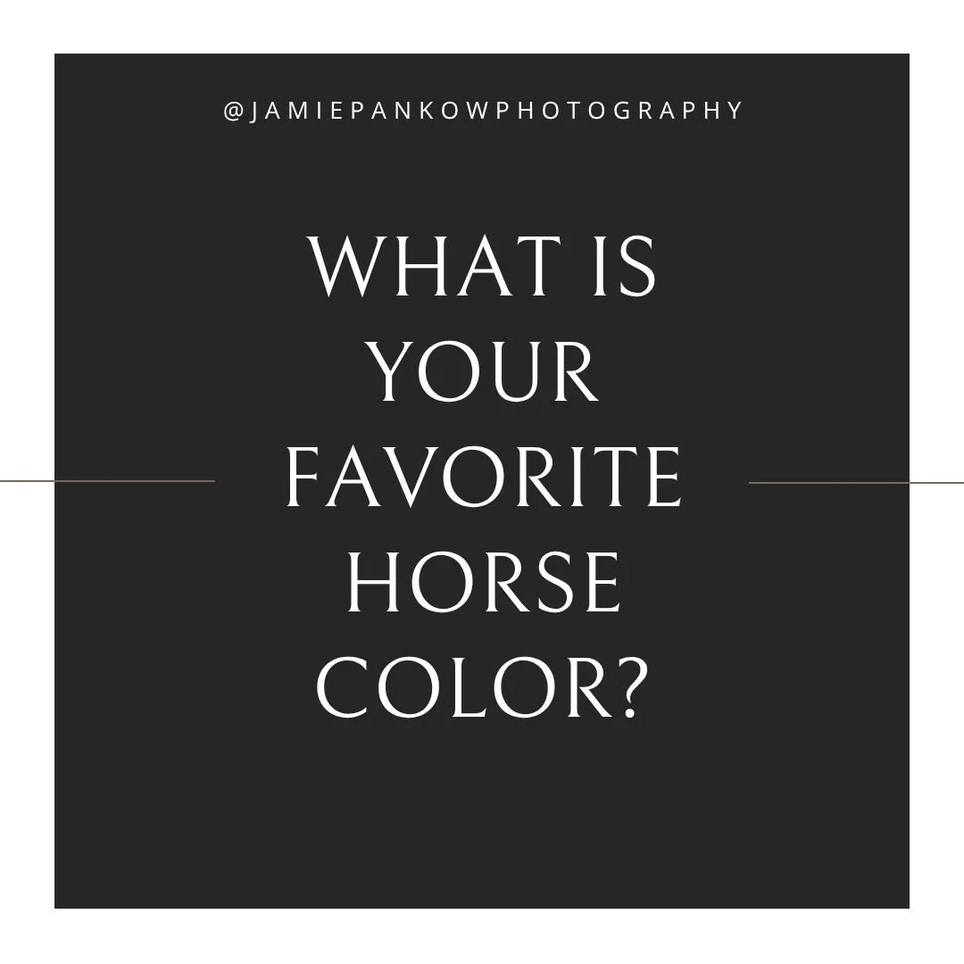 Comment your favorite horse color below&hellip;

Whichever one gets the most love might just come with a little surprise.

(And yes&hellip; this is absolutely me testing if you actually read captions 😂)