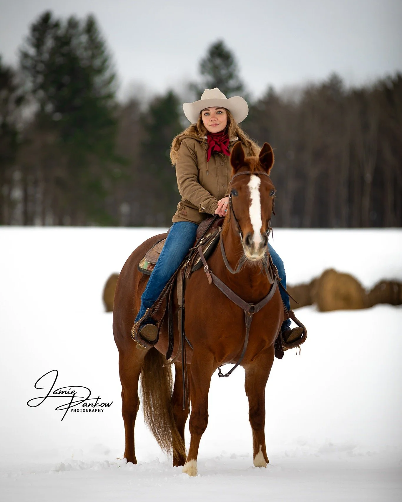 Are you team snow or sun?

I think I already know which side you&rsquo;ll pick&hellip; but I want to hear it👇
.
.
.
#JamiePankowPhotography #Snow #Sun #EquinePhotographer