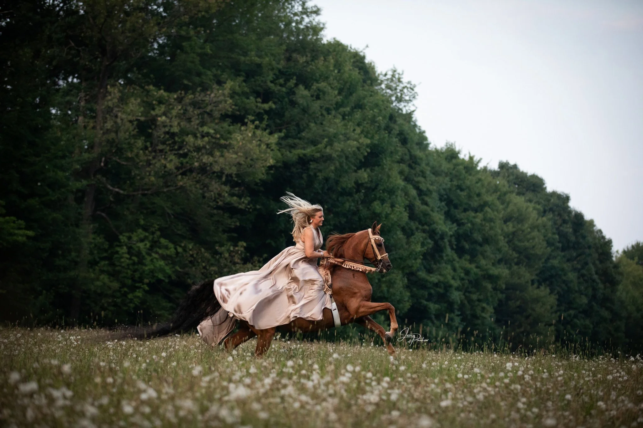 Your portrait session does not have to look like anyone else&rsquo;s, it should feel like you.

That might mean quiet moments with your horse at sunset or it might mean galloping through a field in a beautiful gown with your hair flying behind you li