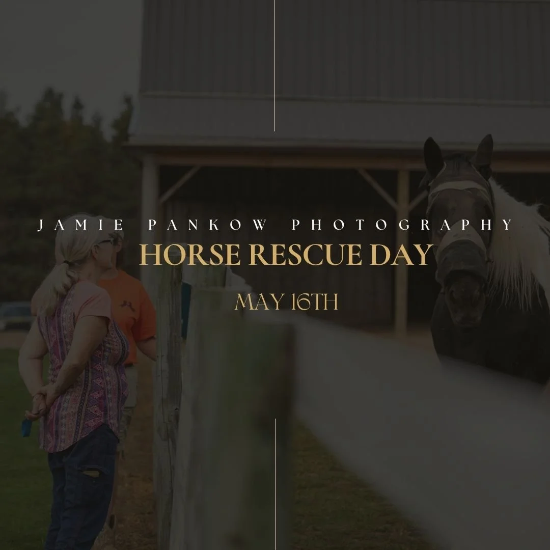 Happy Horse Rescue Day to the horses who got a second chance and the people who made sure they had one.

Behind so many rescue stories is patience, hard work, late nights, trust rebuilt one small step at a time, and hearts big enough to love horses e